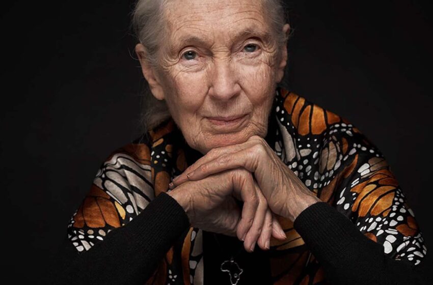  Jane Goodall explique pourquoi il n’est pas trop tard pour sauver la planète