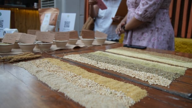  La renaissance du mil en Inde : comment une graine autrefois négligée fait son grand retour
