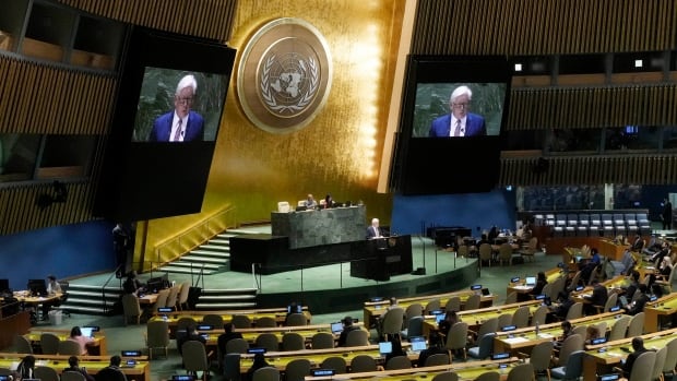  Le bilan du Canada en matière de vote aux Nations Unies fait l’objet d’un examen minutieux alors que la guerre entre Israël et le Hamas s’intensifie