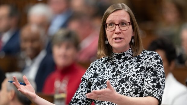  Le leader parlementaire qualifie de « absolument inapproprié » le message du député libéral liant les meurtres de Poilievre et de Winnipeg