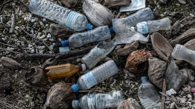  Ottawa va faire appel de la décision du tribunal qui a annulé l’ordonnance classant les plastiques comme substances toxiques