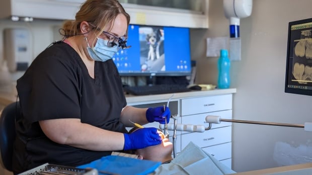  Le programme fédéral de soins dentaires exclura 4,4 millions de Canadiens non assurés (rapport)
