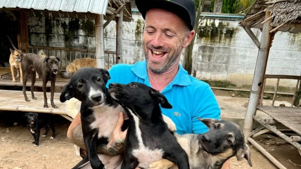  Comment sauver les chiens des rues en Thaïlande a aidé ce toxicomane en convalescence à se sauver
