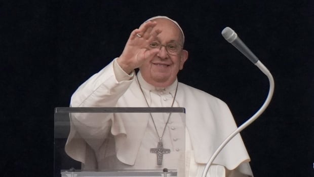  Le pape François appelle à l’interdiction des naissances « méprisables » par GPA