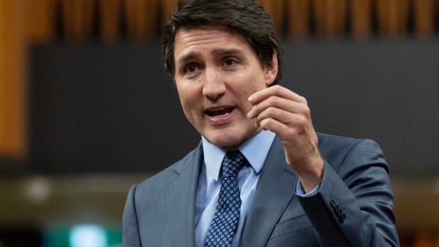  Les députés libéraux expriment leur soutien à Trudeau après qu’un membre du caucus ait suggéré une « révision du leadership »