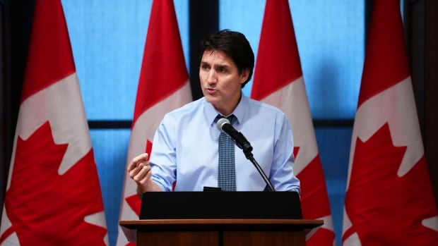  Trudeau affirme que les libéraux ne se laisseront pas distraire suite aux commentaires du député sur la révision du leadership
