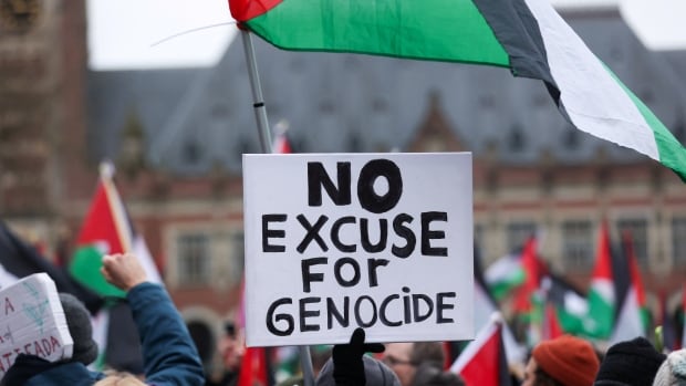  Un tribunal de l’ONU se prononcera sur la tentative de l’Afrique du Sud d’arrêter l’opération israélienne « dès que possible »