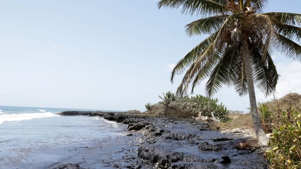 La marée noire causée par un mystérieux navire à Trinité-et-Tobago provoque une « urgence nationale »