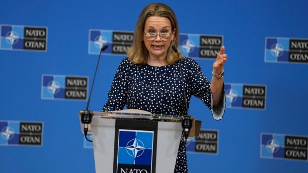  Le Canada a besoin d’un « plan concret » pour respecter les engagements de l’OTAN en matière de dépenses de défense, déclare l’envoyé américain à l’OTAN