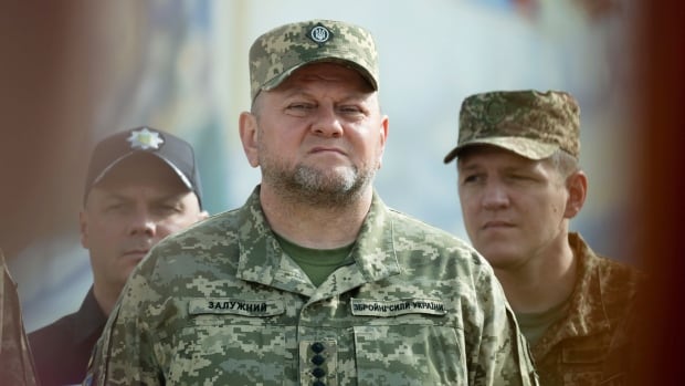  Les informations faisant état de conflits entre le chef militaire ukrainien et Zelensky arrivent à un moment critique