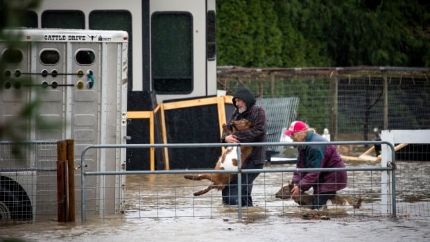  L’aide fédérale en cas de catastrophe pour les inondations de 2021 en Colombie-Britannique prend trop de temps, selon un député