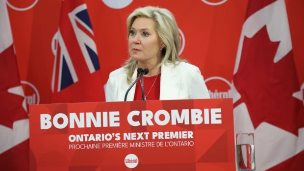  Les libéraux de l’Ontario excluent une taxe provinciale sur le carbone dans le cadre de leur programme électoral de 2026