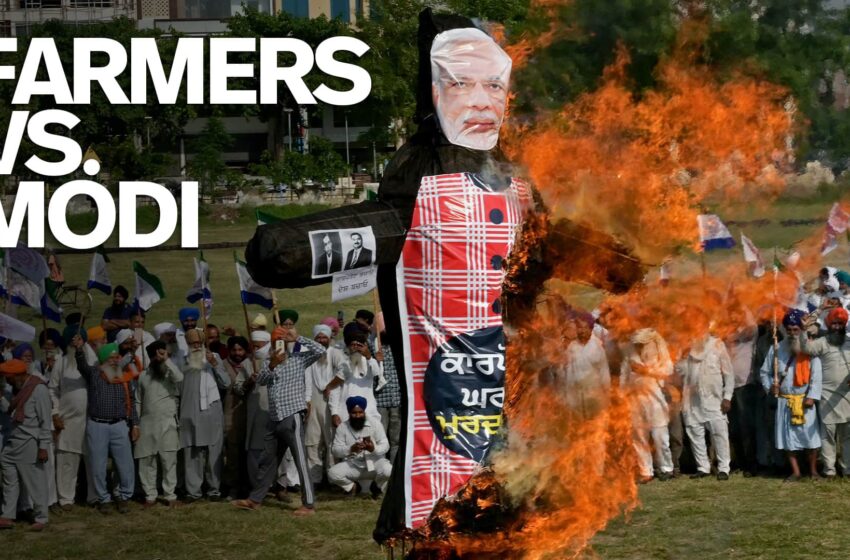  Pourquoi les agriculteurs indiens continuent-ils à s’opposer au gouvernement Modi ?  |  À propos de ça
